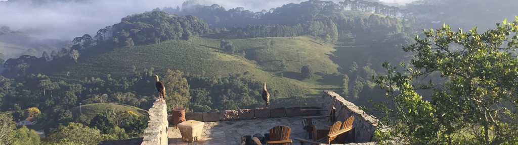 Quinta dos Pinhais