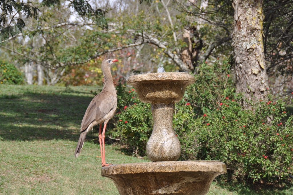 Quinta dos Pinhais